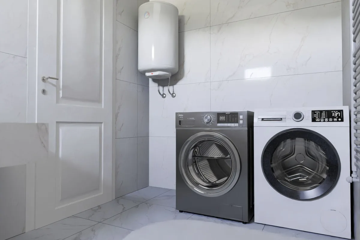 Bird & Bat Guano Cleanup in Lemmon Valley, NV